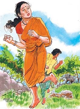 காட்டுக்குள்ளே கொண்டாட்டம்!