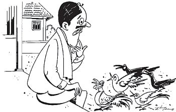 நம்மைச் சுற்றி நடப்பது என்ன? - 9 ஊராட்சி ஒன்றியம் - மக்களாட்சியின் இன்னொரு படிக்கட்டு