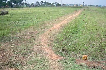 அழிவை நோக்கி விவசாயத் தொழில்?