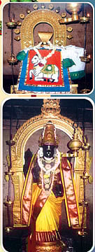 ஐயனே நேரில் வந்து பெற்ற அவிர்பாகம்!