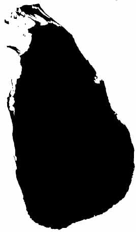 இலங்கையில் மீண்டும் இனவெறிப்பாம்பு