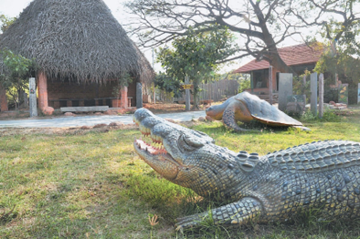 "கல்லிலே கலை வண்ணம்' கண்கவர் பூங்காவாக மாறியிருக்கும் முற்காடு