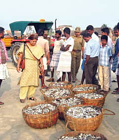 வனம் காக்கும் மனம்!