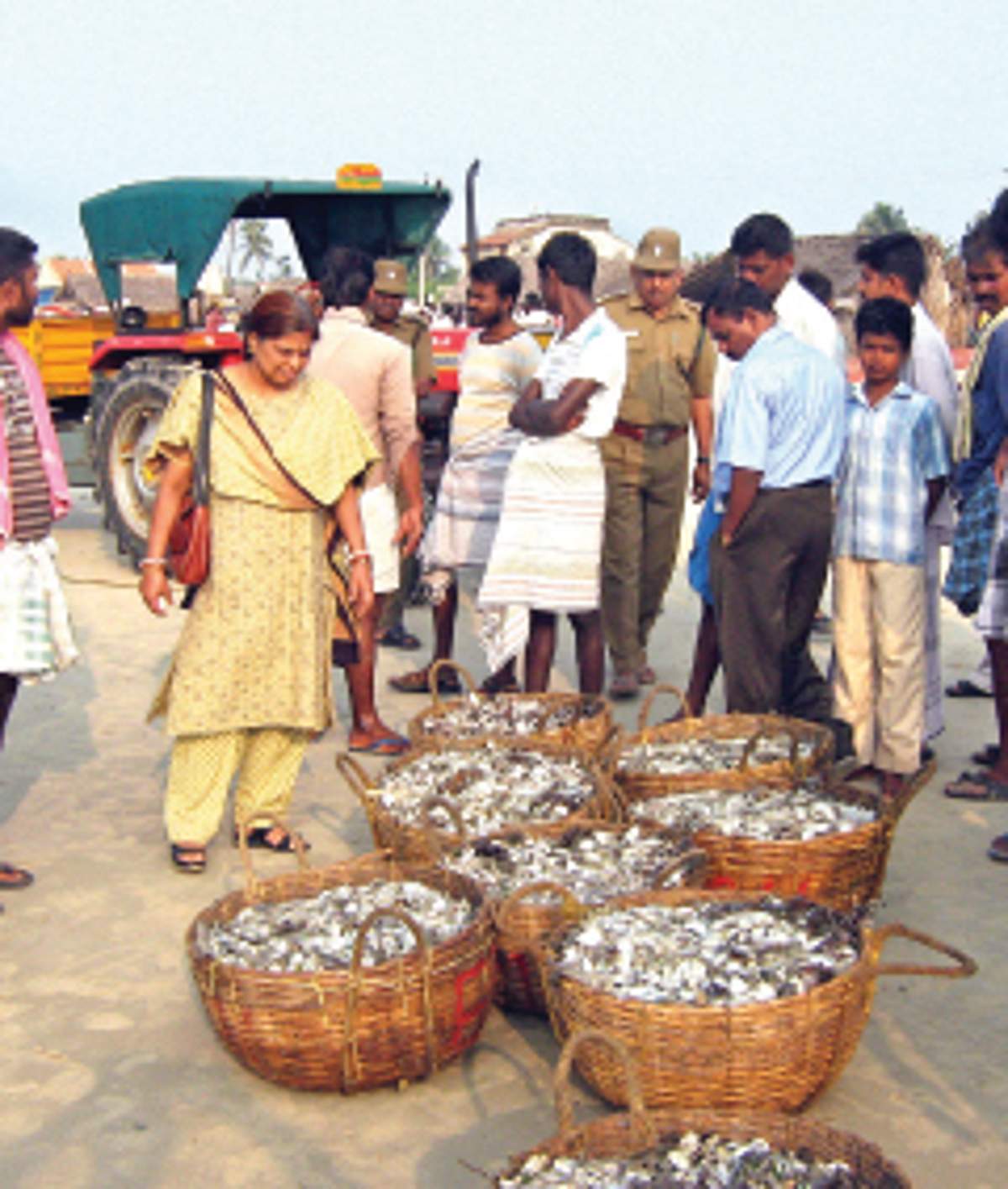 News image
