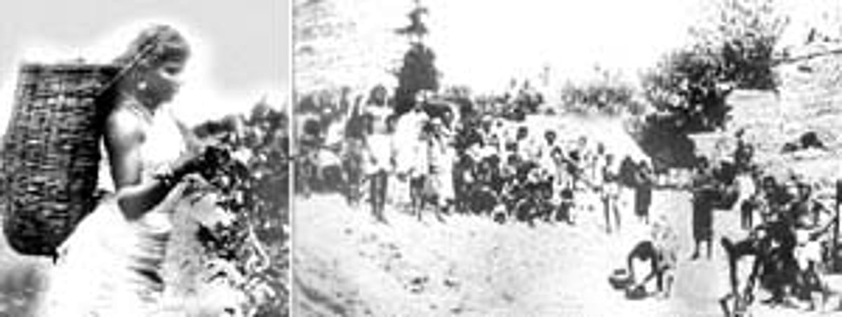 "ஈழத் தமிழரின் போராட்ட வரலாறு'- 31: கூலிப்பட்டாளமல்ல, மண்மாறிய மக்கள்!