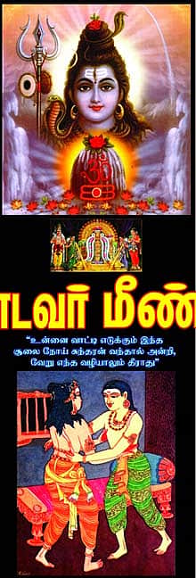 ஆலயம்: தடைகளைக் களையும் தலையாலங்காட்டு நாதர்!