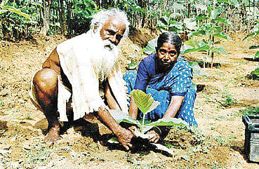 தானம்: சர்வமும் சமர்ப்பணம்!