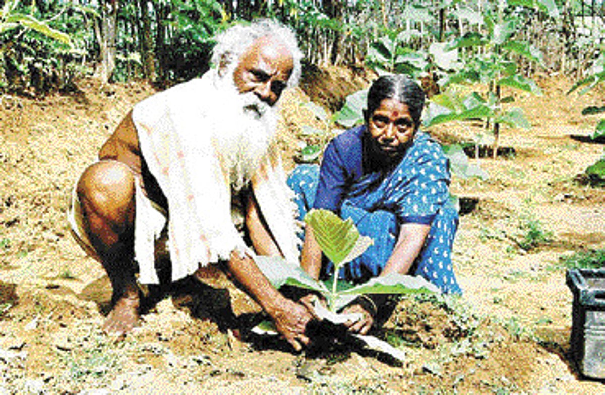 தானம்: சர்வமும் சமர்ப்பணம்!
