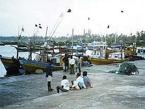 மீன்கள் ஏற்றுமதி ஆகாததால் கருவாடில் "காசு பார்க்கும்' காரைக்கால் மீனவர்கள்