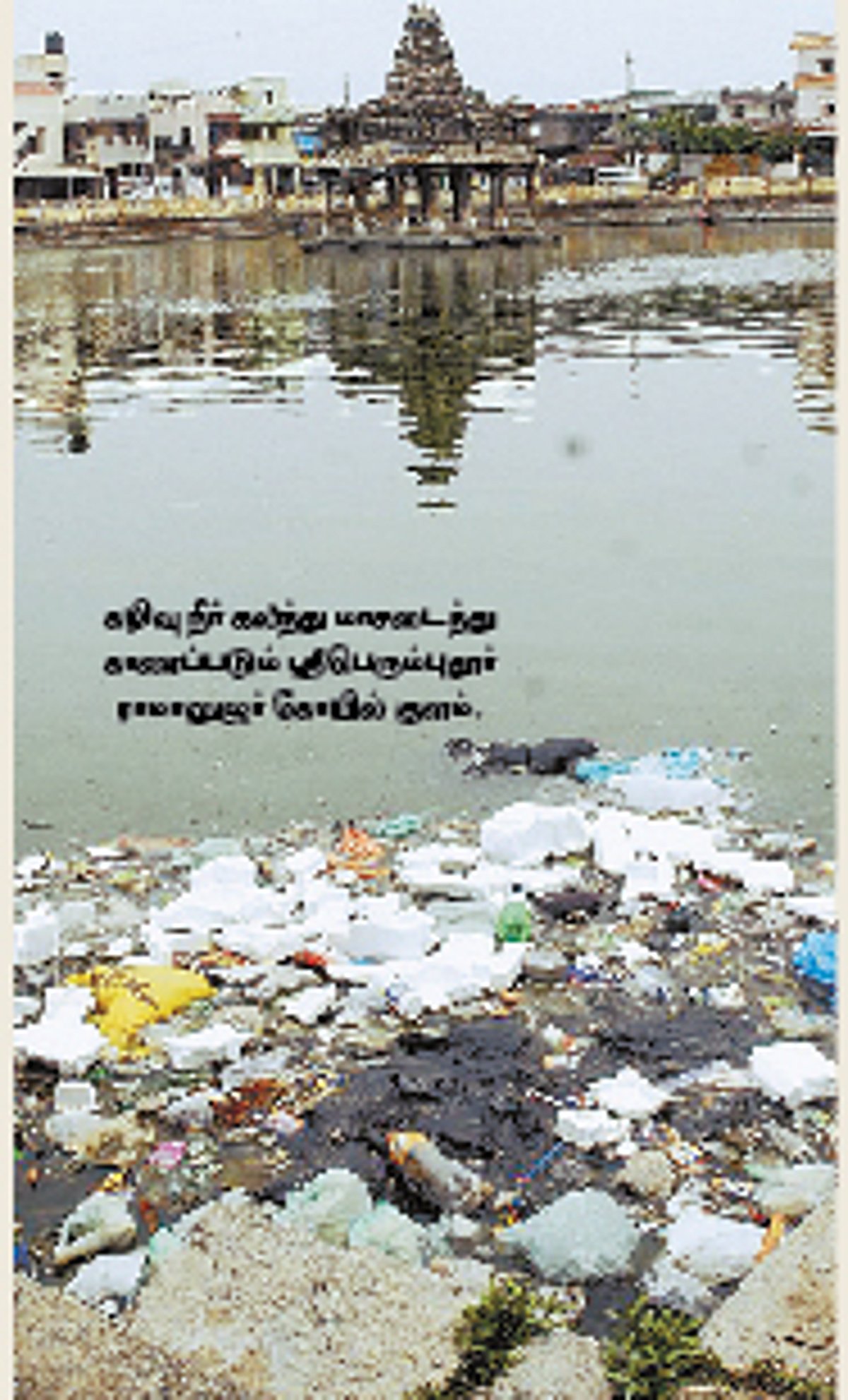 கழிவுநீர் கலக்கும் ராமானுஜர் கோயில் குளம்