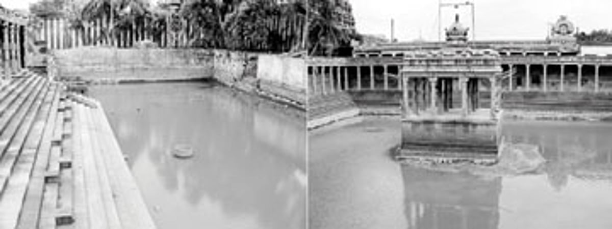 தண்ணீர் வரும் கால்வாய் தூர்ந்தது: கழிவுநீர் தொட்டியாகும் நெல்லையப்பர் கோயில் தெப்பக்குளங்கள்