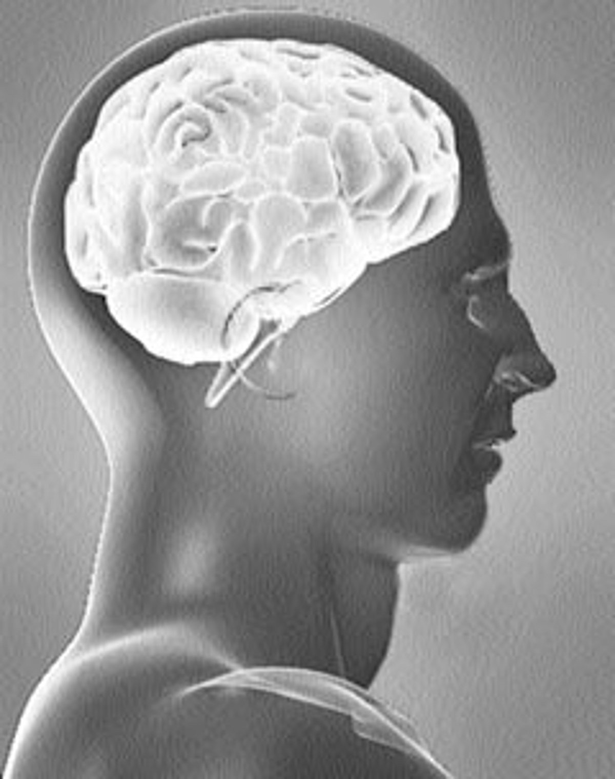 ஆயுள் காக்கும் ஆயுர்வேதம்: மூளையைப் பாதுகாக்க...