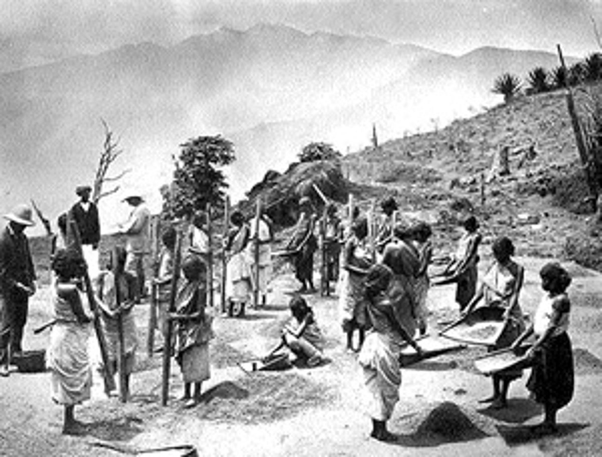 "ஈழத் தமிழரின் போராட்ட வரலாறு'- 11 : யாழ்ப்பாணத் தமிழரும், மலையகத் தமிழரும்!