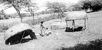 நிரந்தர வாழ்வாதாரமின்றி தவிக்கும் ஆடு வளர்ப்பு தொழிலாளர்கள்