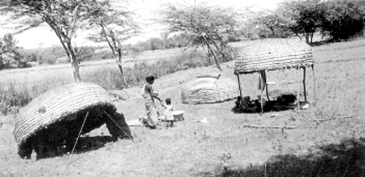 நிரந்தர வாழ்வாதாரமின்றி தவிக்கும் ஆடு வளர்ப்பு தொழிலாளர்கள்