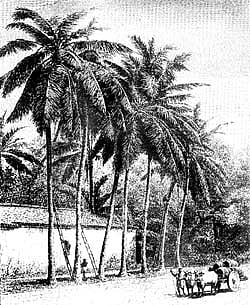 "ஈழத் தமிழரின் போராட்ட வரலாறு'-13: இலங்கையின் பொருளாதாரப் பின்னணி