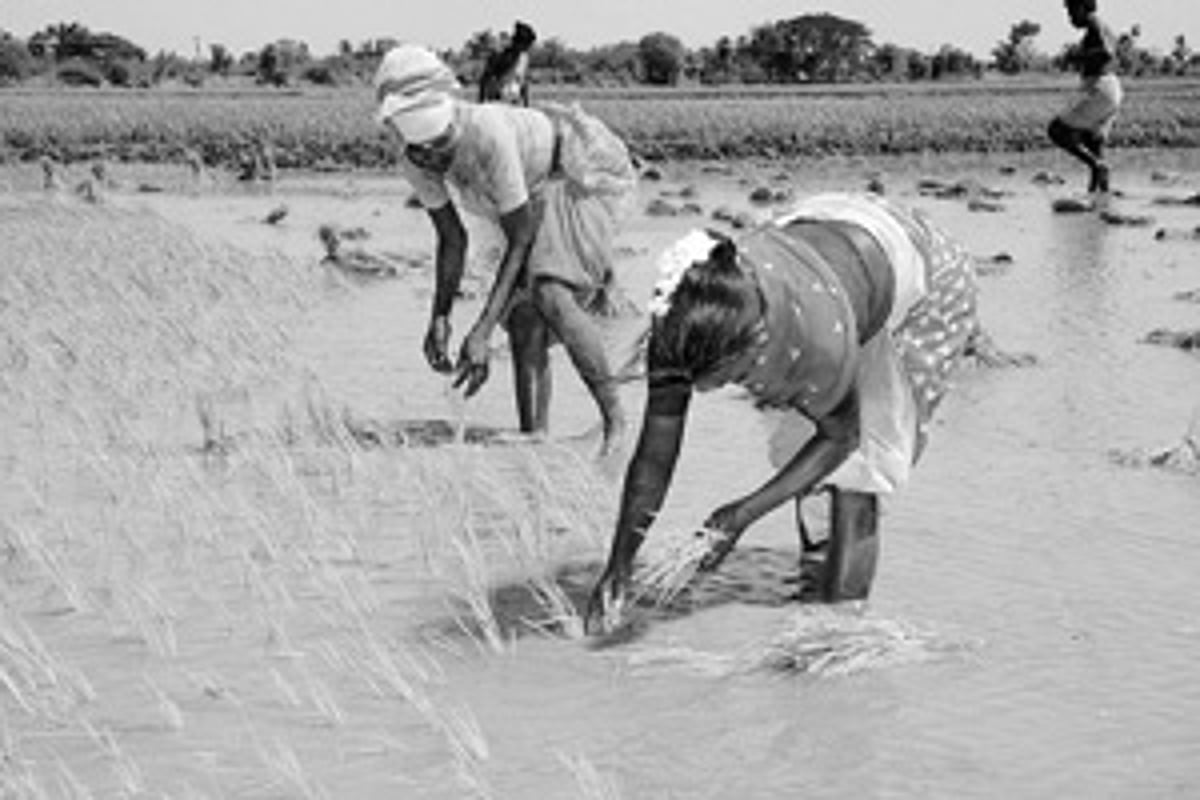 வேலைக்கு ஆளில்லை