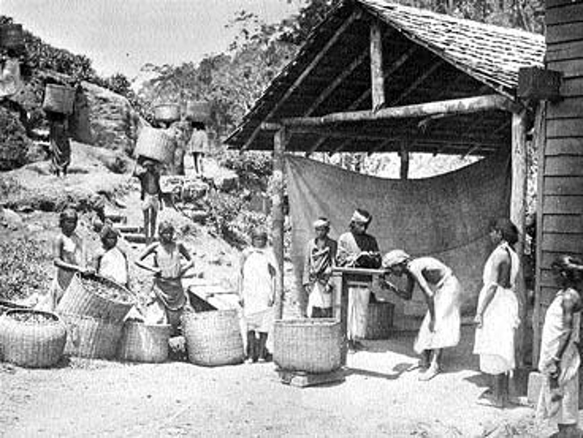 "ஈழத் தமிழரின் போராட்ட வரலாறு' - 17: முதலாவது சிங்களவர்-தமிழர் கலவரம்!