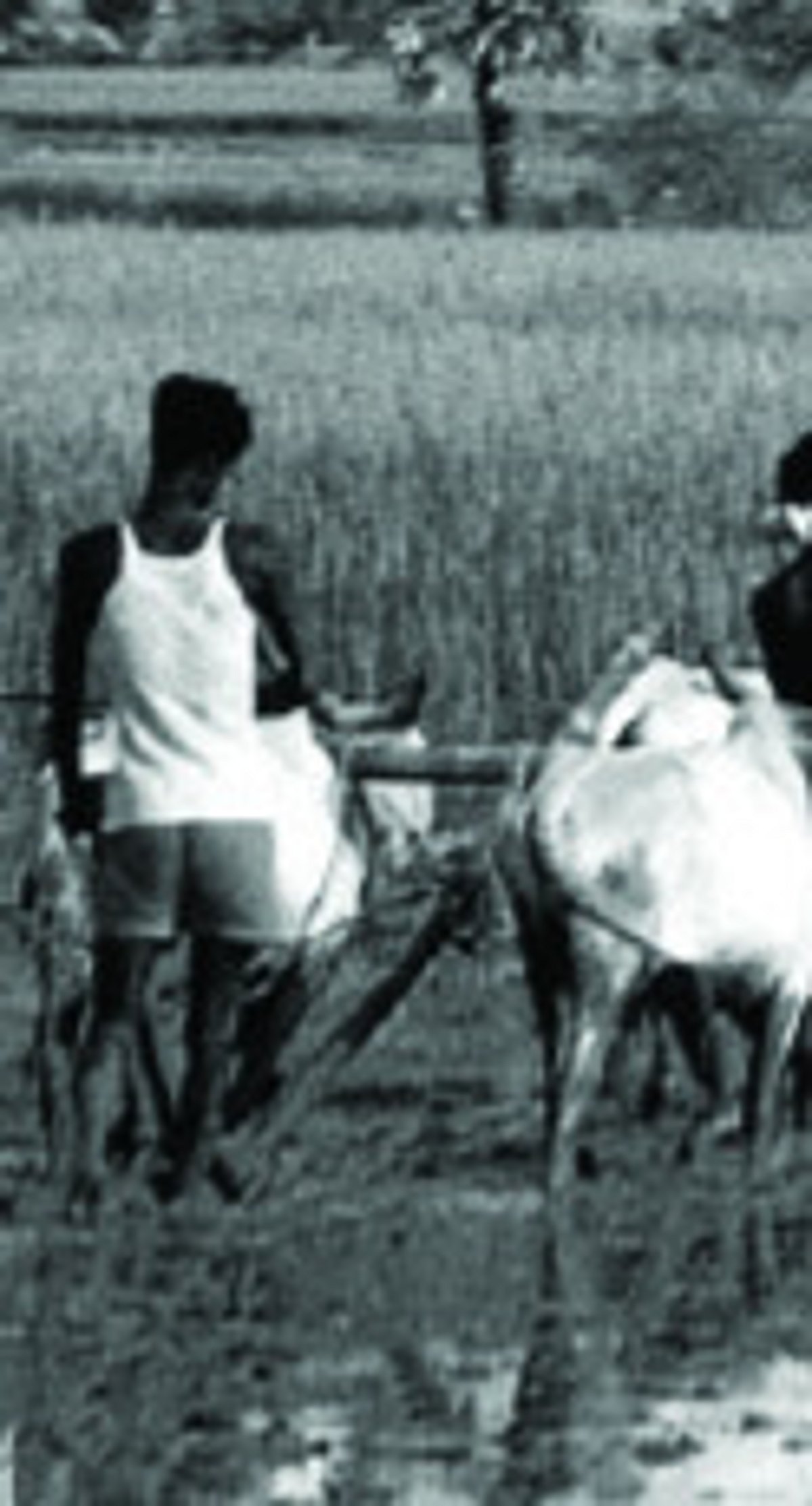 காவிரி டெல்டா மாவட்டங்களில் நீர்ப் பங்கீடு முறையாக திட்டமிடப்படுமா?