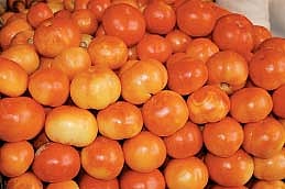 கடும் வறட்சி: தக்காளி விலை "கிடு கிடு' உயர்வு