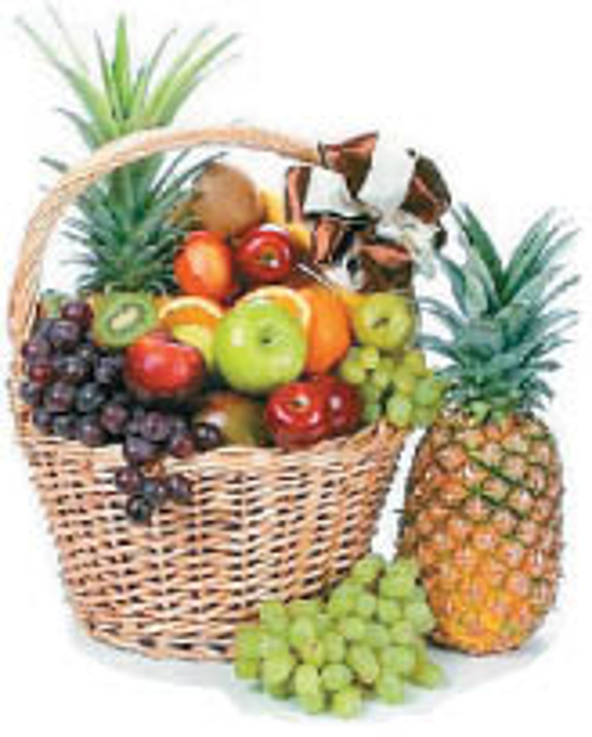 ஆயுள் காக்கும் ஆயுர்வேதம்: இளமை...இதோ! இதோ!