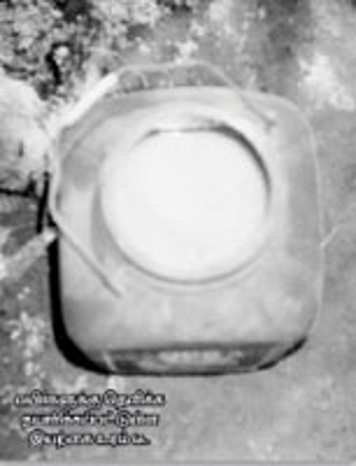 ஊட்டம் தரும் "உரம் டீ'