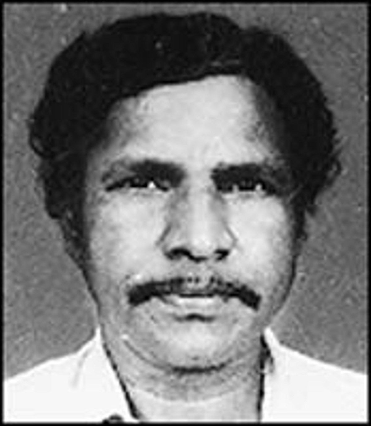 வேலியைத் தாண்டும் போலிகள்