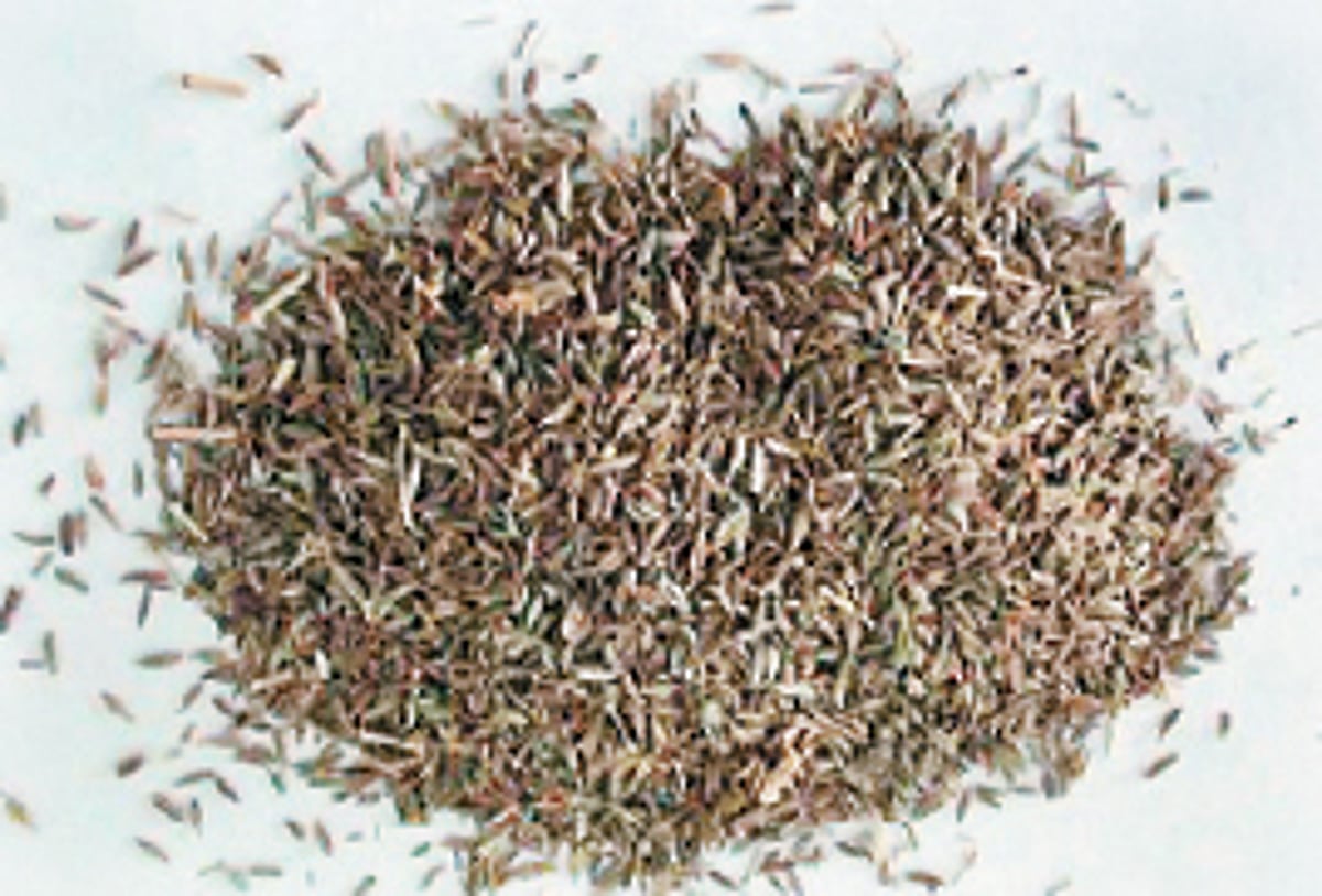 ஆயுள் காக்கும் ஆயுர்வேதம்: வெறும் வயிற்றில் சீரகம்; உணவோடு வெந்தயம்!