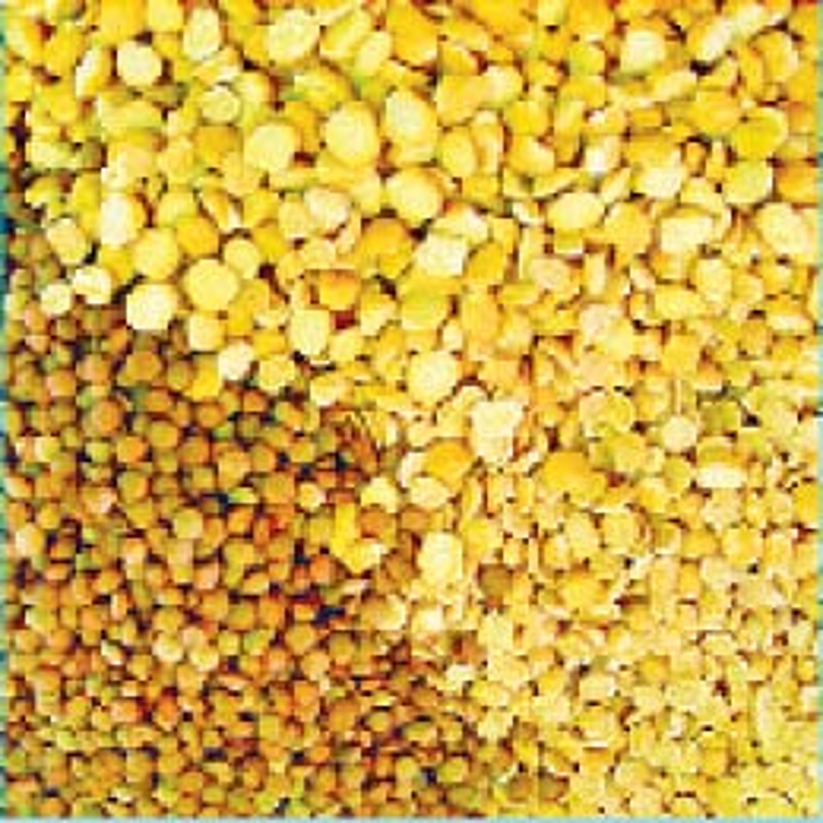 ஆயுள் காக்கும் ஆயுர்வேதம்: காய்ச்சலுக்குப் பிறகு..!