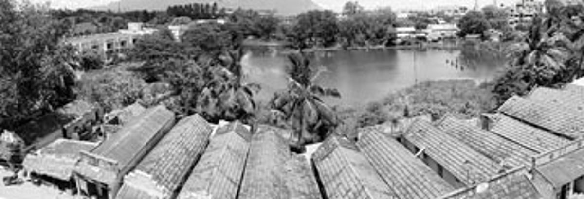 பாதிக்கப்பட்டு வரும் 100 ஏக்கர் பரப்பிலான நீராதாரங்கள்