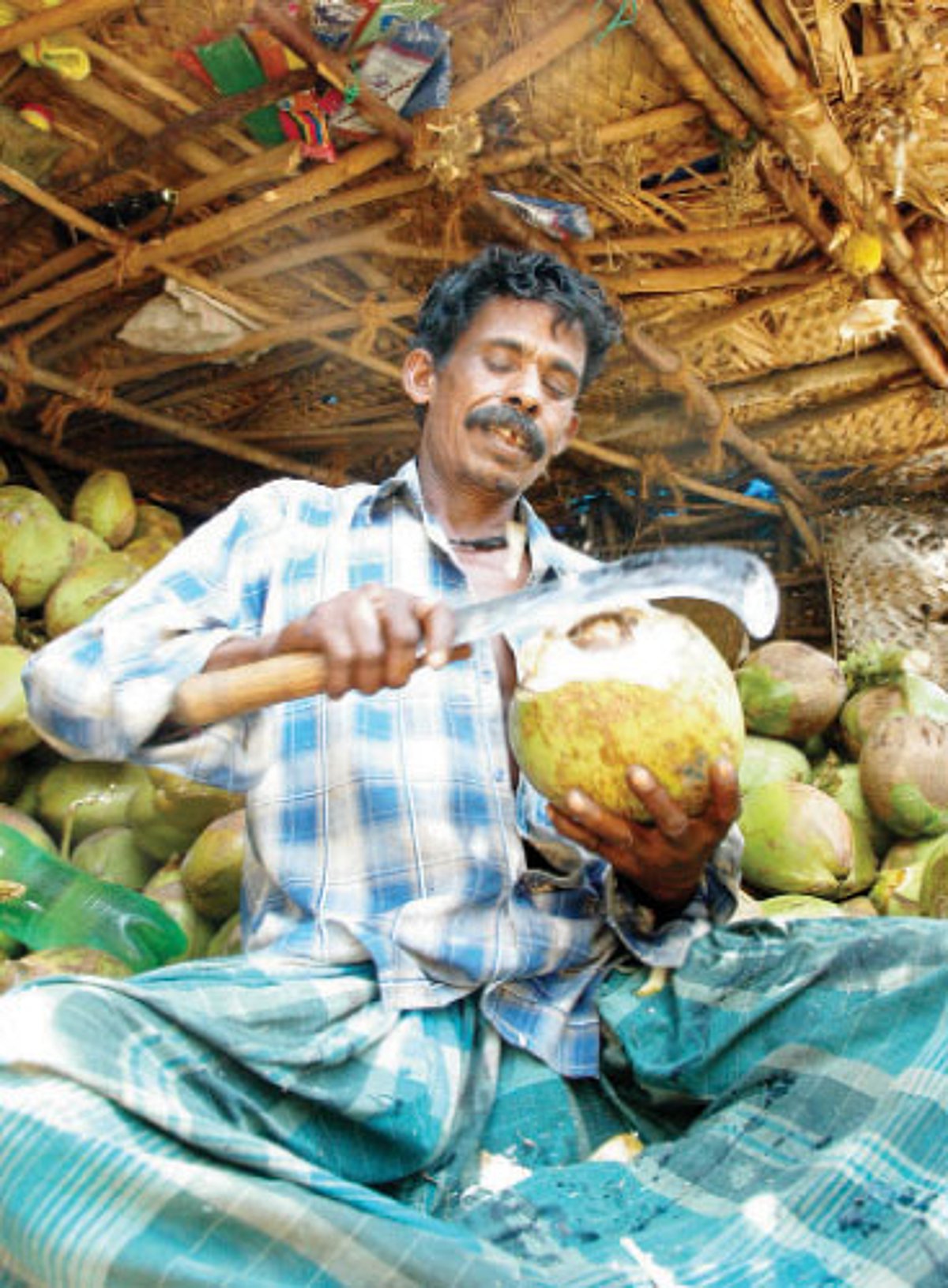 முரட்டுக் குதிரைகளை அடக்கி ஆள வேண்டும்!