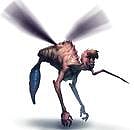 கொசு உற்பத்திக் கூடமாகும் அரசு குடியிருப்புகள்!