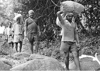 சாலை இல்லை;​ மின்சாரம் இல்லை: 20 ஆண்டுகளாக போராடும் மலைக்கிராம மக்கள்