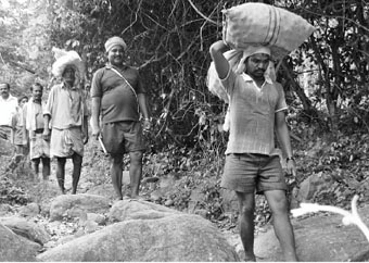 சாலை இல்லை; மின்சாரம் இல்லை: 20 ஆண்டுகளாக போராடும் மலைக்கிராம மக்கள்