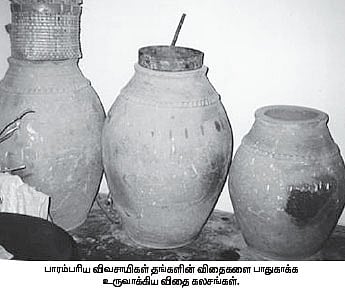 விதைகளை எளிய முறையில் பாதுகாக்கும் விதை கலசங்கள்