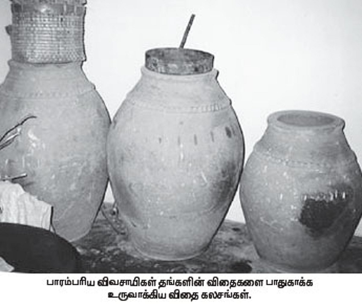 விதைகளை எளிய முறையில் பாதுகாக்கும் விதை கலசங்கள்