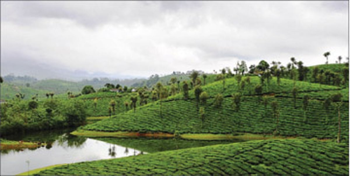 ஏழாவது சொர்க்கம்!