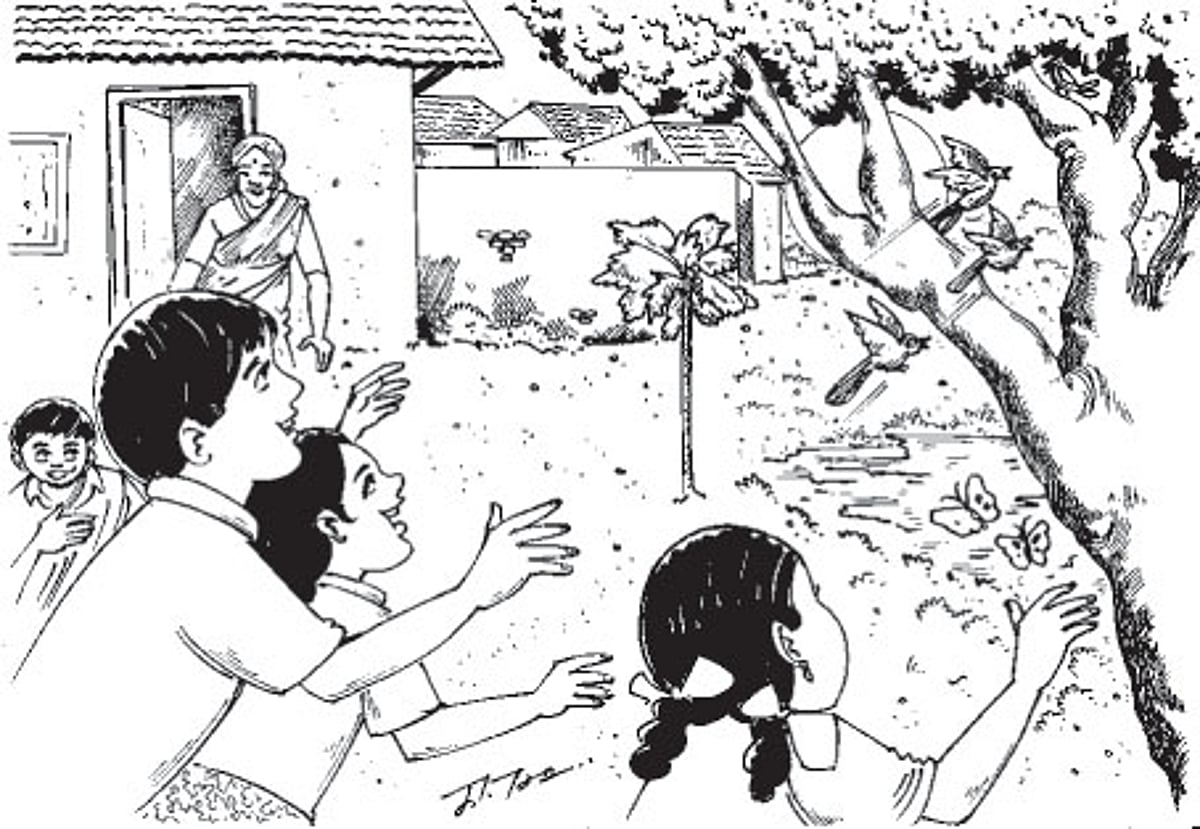 சிறுகதை: முந்திரிப் பழமும், கனி பாட்டியும்!