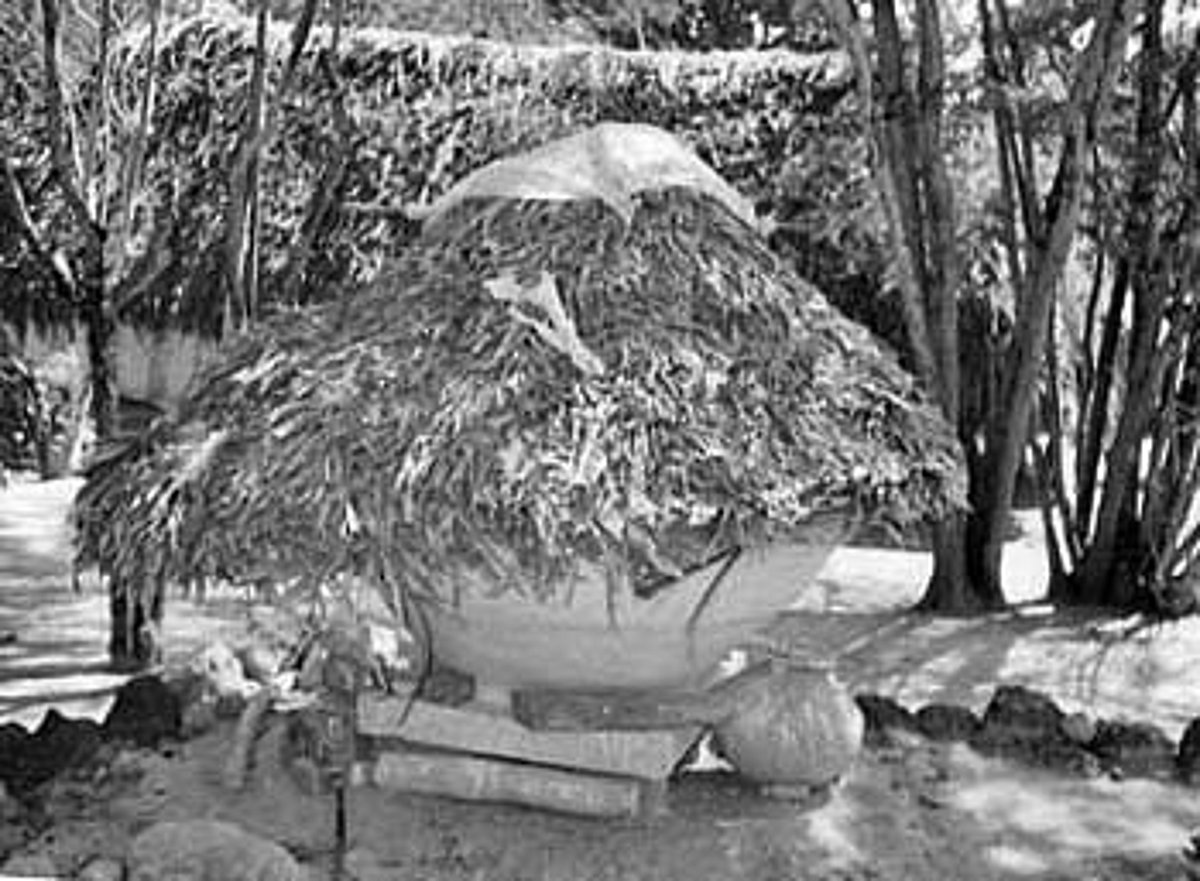 விளைபொருளை பாதுகாக்க எளியவழி களிமண் பத்தையம்