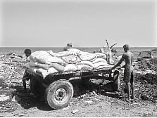 கழிவுநீர், குப்பைகளால் நாசமாகும் வடசென்னை கடற்கரை