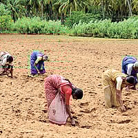 "காணி நிலம் போதும்!'