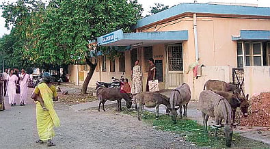 இது என்ன கால்நடை மருத்துவமனையா?