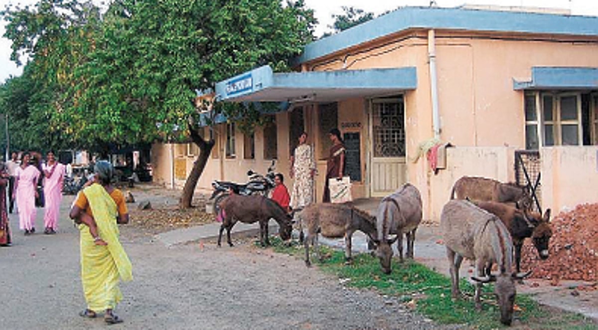 இது என்ன கால்நடை மருத்துவமனையா?