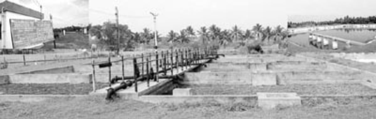 இரு நிர்வாகங்களுக்கு இடையே குளறுபடி: காவிரியில் கலக்குது ஆலைக் கழிவு நீர்!