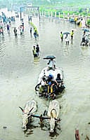 புழல் ஏரியில் ஆக்கிரமிப்பு: கிராமங்கள் வெள்ளத்தில் சிக்கும் அபாயம்