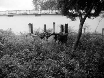 பூங்காக்கள் - பயன்படுத்தப்படாத நிதி ஒதுக்கீடு!