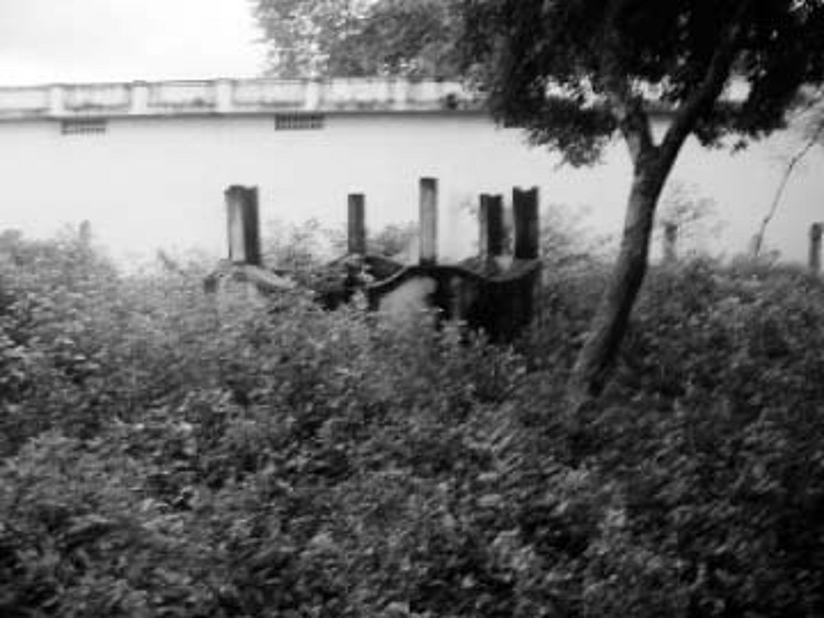 பூங்காக்கள் - பயன்படுத்தப்படாத நிதி ஒதுக்கீடு!