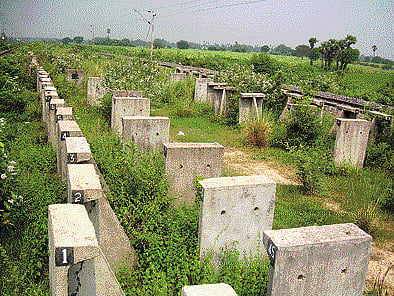 புத்துயிர் பெறுமா புலிக்குளம் ரயில் நிலைய பணி ?