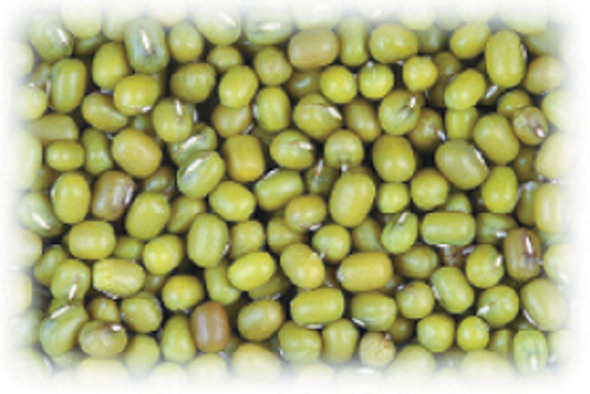 ஆயுள் காக்கும் ஆயுர்வேதம் : எளிதில் செரிக்கும் பச்சைப் பயறு!