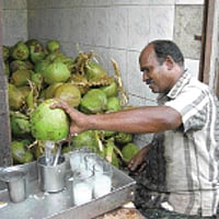 இளநீர் சர்பத்!